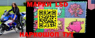 индика Новозыбков