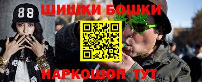 индика Новозыбков