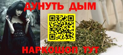 индика Новозыбков