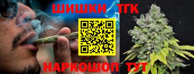 индика Новозыбков