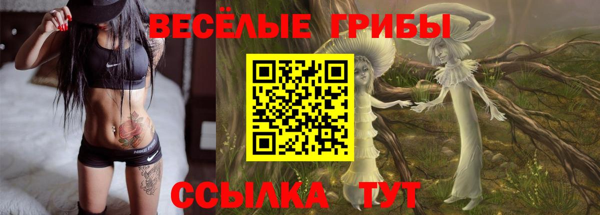 Галлюциногенные грибы GOLDEN TEACHER  Псилоцибиновые грибы прущие грибы  Норильск  Вход с VPN 
